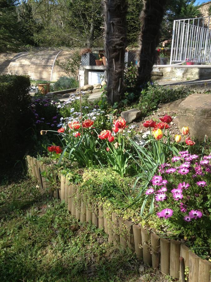 Lodève L'Ecrin D'Osely B&B 외부 사진