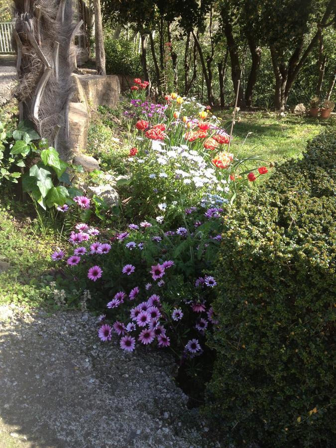 Lodève L'Ecrin D'Osely B&B 외부 사진